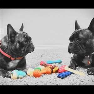 Meet your Posher, Peter